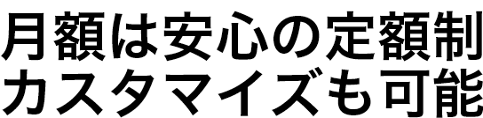 月額は安心の定額制　カスタマイズも可能